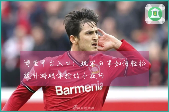 博鱼平台入口：玩家分享如何轻松提升游戏体验的小技巧