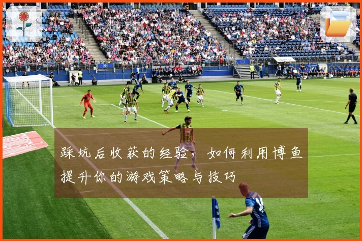 踩坑后收获的经验，如何利用博鱼提升你的游戏策略与技巧