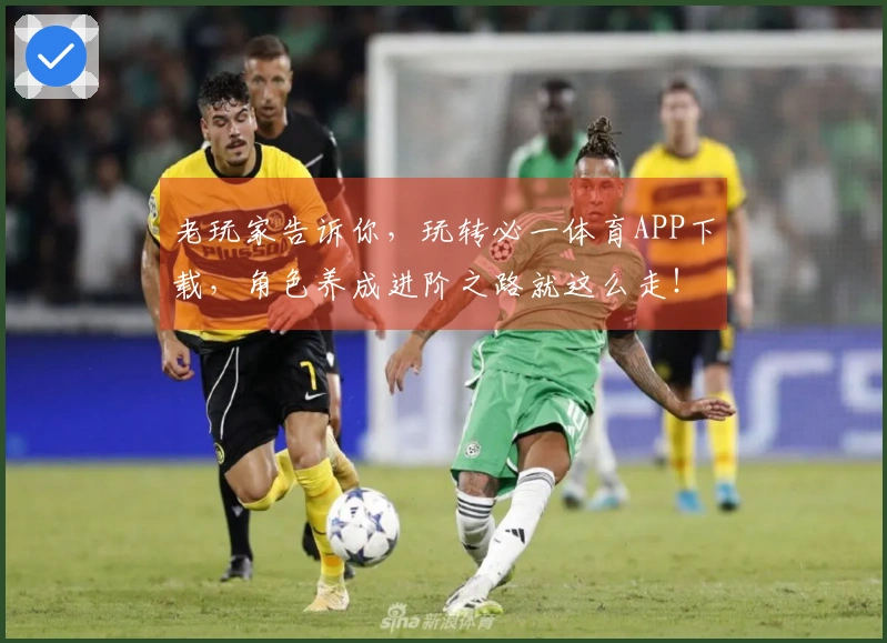 老玩家告诉你，玩转必一体育APP下载，角色养成进阶之路就这么走！